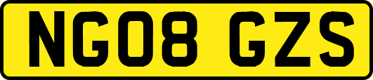 NG08GZS