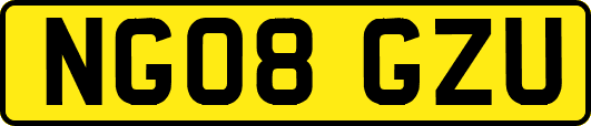 NG08GZU