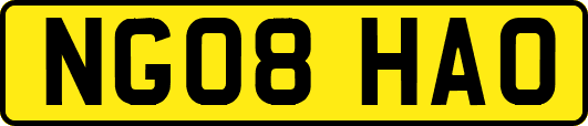 NG08HAO