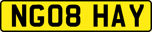 NG08HAY