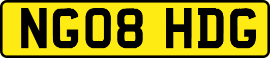 NG08HDG