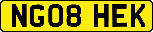 NG08HEK