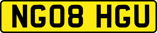 NG08HGU