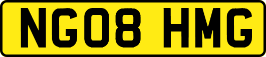 NG08HMG