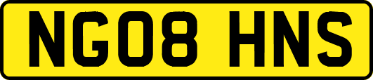 NG08HNS