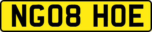 NG08HOE