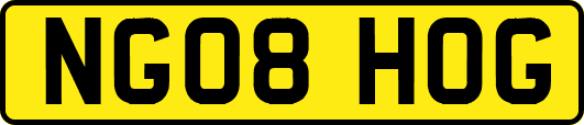 NG08HOG