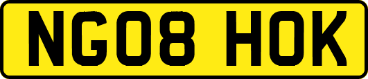 NG08HOK