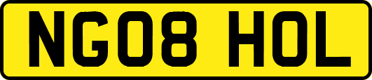 NG08HOL