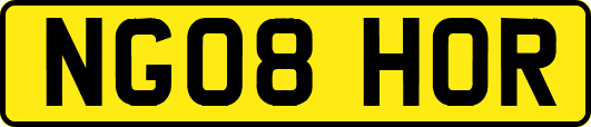 NG08HOR