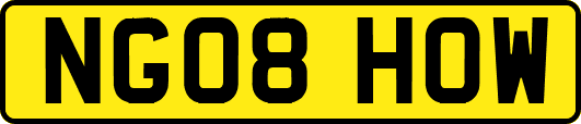 NG08HOW