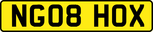 NG08HOX