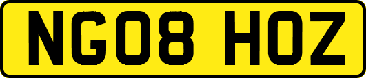 NG08HOZ