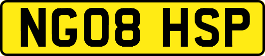 NG08HSP