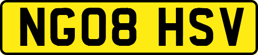 NG08HSV