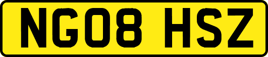 NG08HSZ