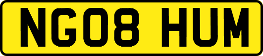 NG08HUM