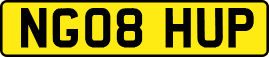 NG08HUP