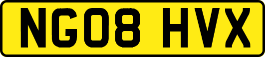 NG08HVX