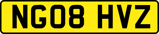 NG08HVZ