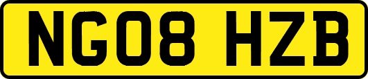 NG08HZB