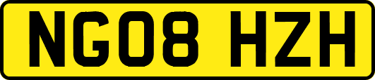 NG08HZH