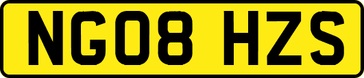 NG08HZS