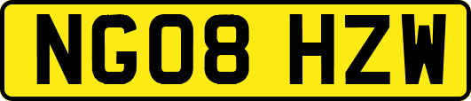 NG08HZW