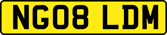 NG08LDM