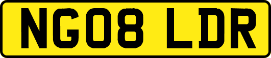 NG08LDR