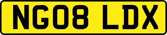 NG08LDX
