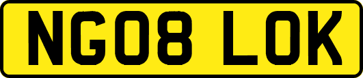 NG08LOK