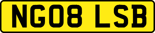 NG08LSB