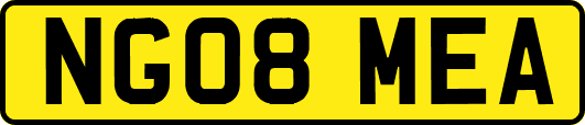 NG08MEA