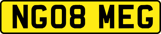 NG08MEG