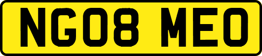 NG08MEO