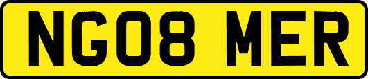 NG08MER