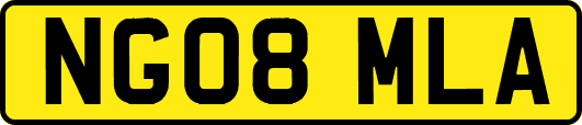NG08MLA