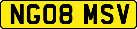 NG08MSV