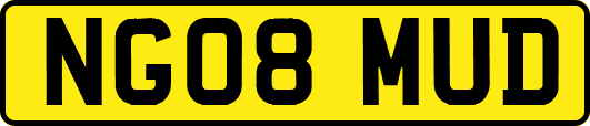NG08MUD