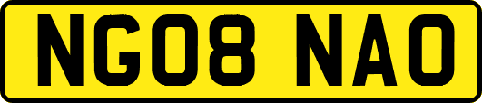 NG08NAO