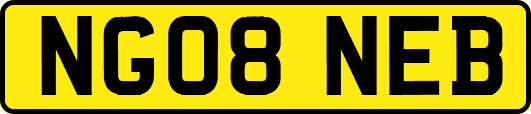 NG08NEB