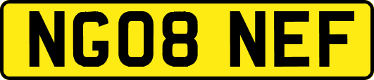NG08NEF