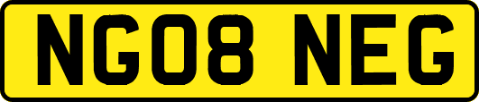 NG08NEG