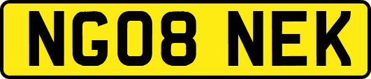 NG08NEK