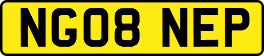 NG08NEP
