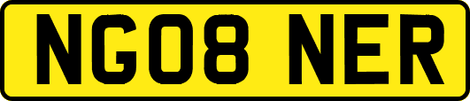 NG08NER