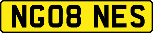 NG08NES