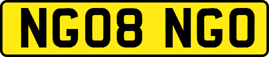 NG08NGO