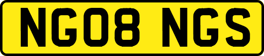 NG08NGS